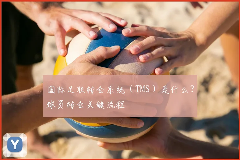 国际足联转会系统(TMS)是什么?球员转会关键流程