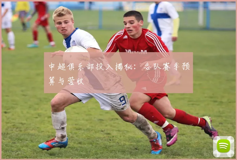 中超俱乐部投入揭秘：各队赛季预算与营收