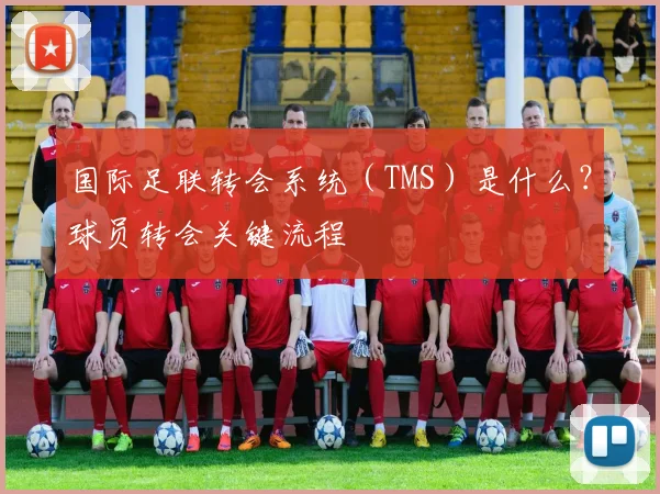 国际足联转会系统(TMS)是什么?球员转会关键流程